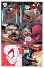 The Amazing Spider-Man #12 (#906)